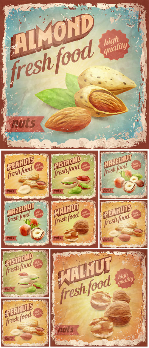 Vintage vector poster with nuts