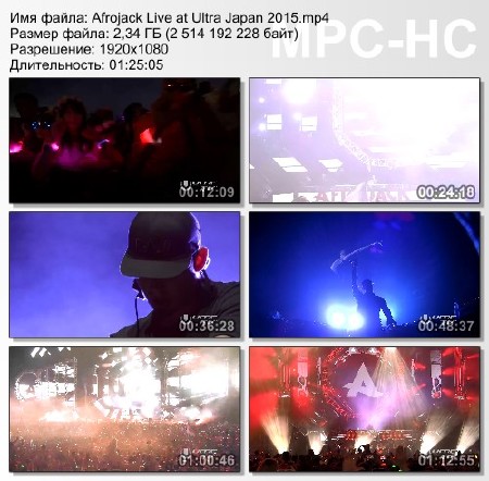 Afrojack Live at Ultra Japan 2015