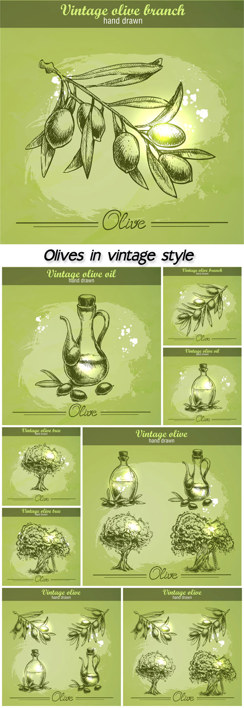 Olives in vintage style