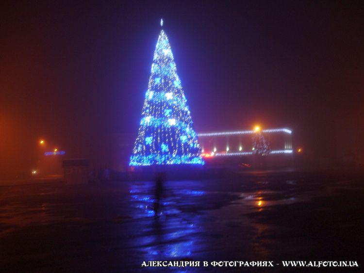 Новогодние ёлки Александрии