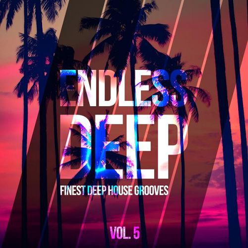 Endless Deep Finest Deep House Grooves Vol.5 (2016)