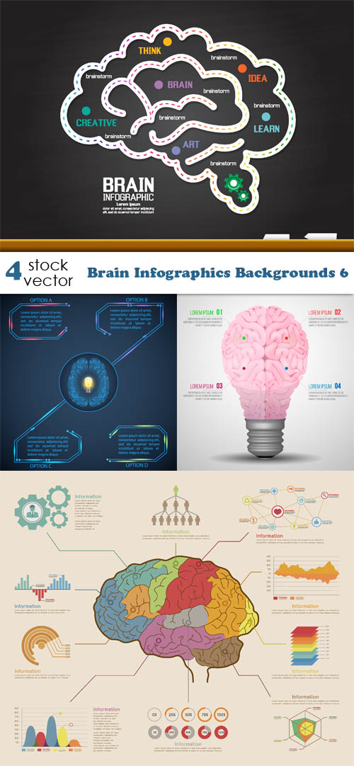 Vectors - Brain Infographics Backgrounds 6