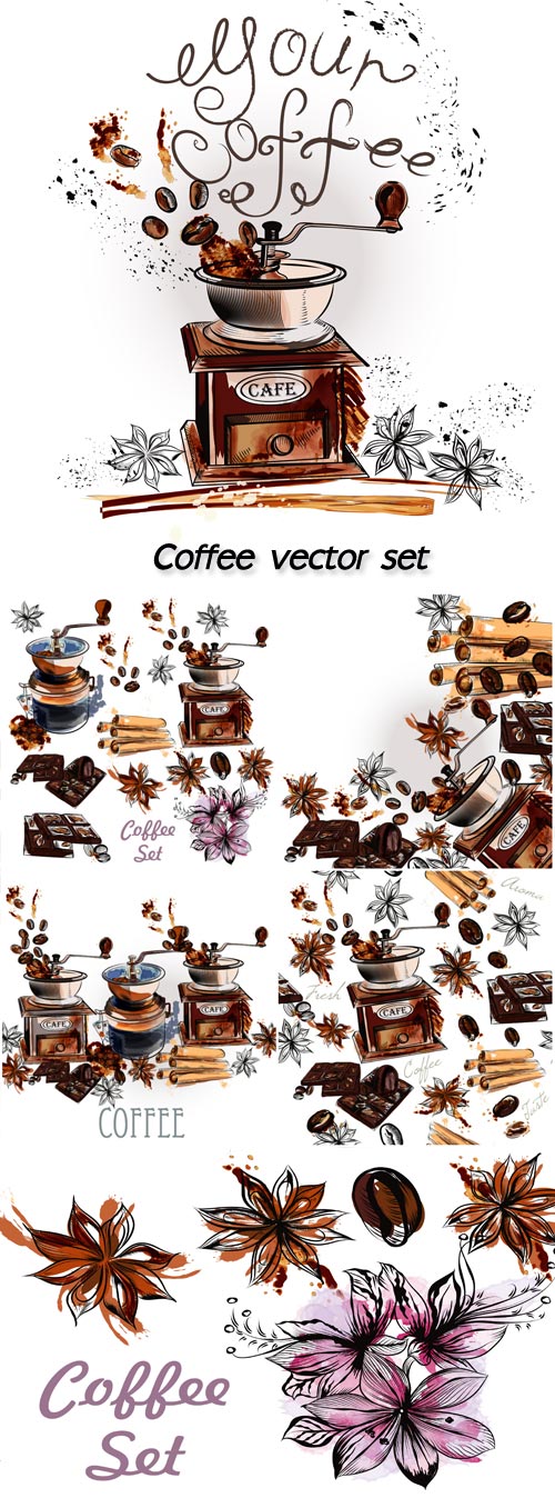 Coffee vector set with coffee grinder anise stars and roasted beans in engraved and watercolor styles