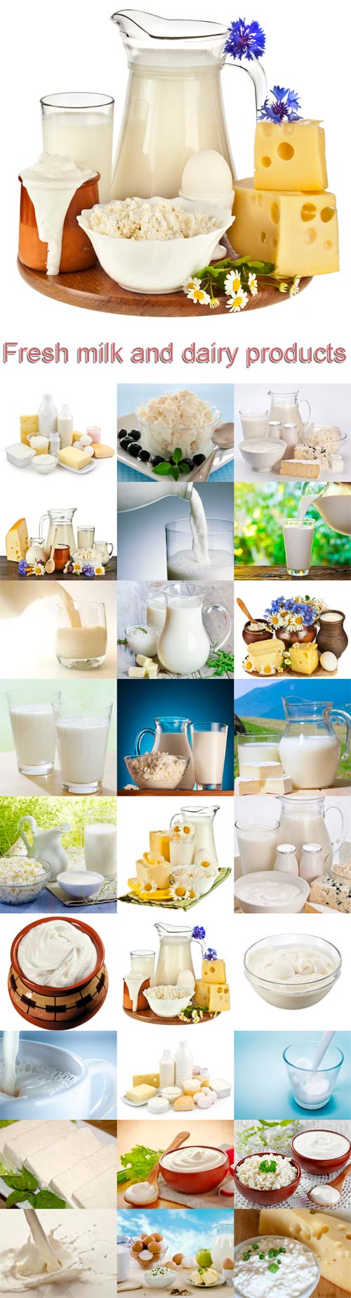 Fresh milk and dairy products