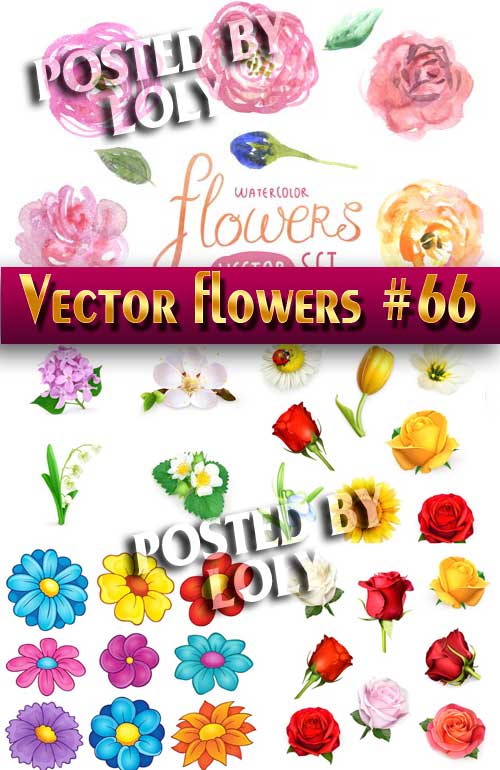 Цветы в векторе #66 - Векторный клипарт