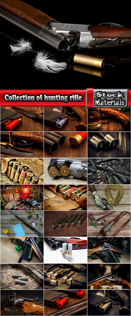 Collection of hunting rifle hunting ammunition cartridge guns 25 HQ Jpeg