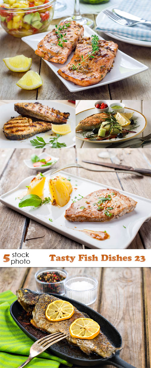 Photos - Tasty Fish Dishes 23