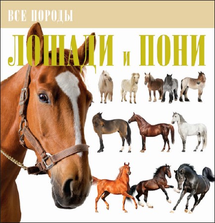  В. М. Жабцев. Лошади и пони  