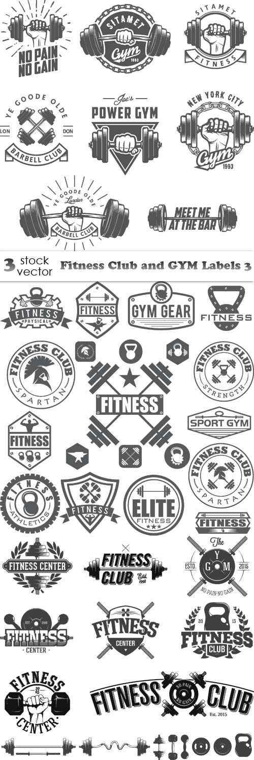 Vectors - Fitness Club and GYM Labels 3