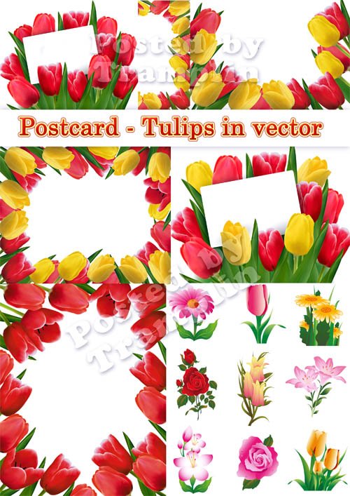 К празднику 8 марта Тюльпаны - Цветы в векторе