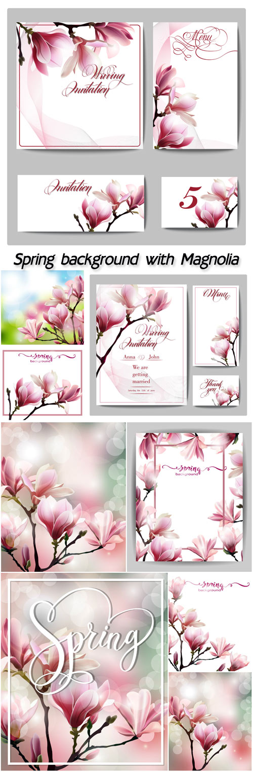 Spring background with blossom of Magnolia