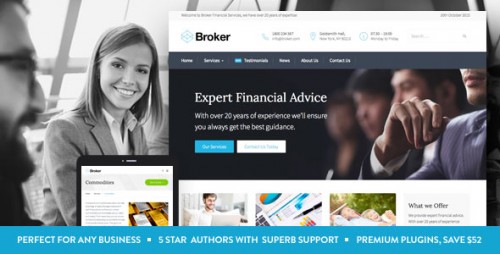Download Nulled Broker - Business and Finance WordPress Theme snapshot