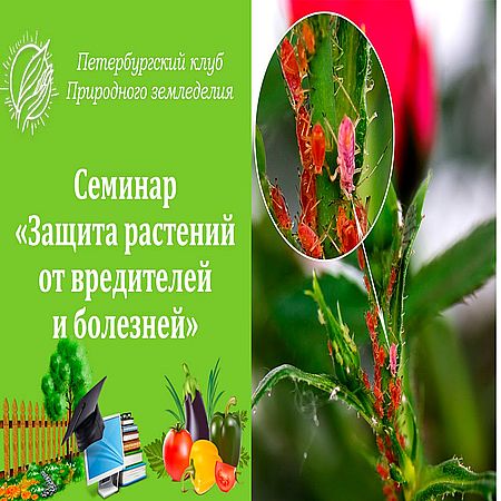 Семинар "Защита растений от болезней и вредителей" (2016) WEBRip 