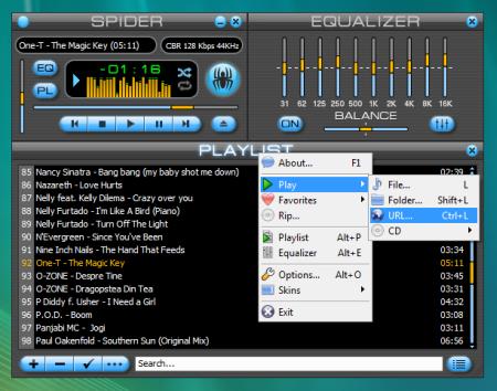 Spider Player Pro 2.5.3 Portable