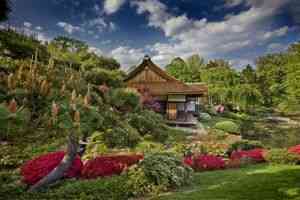 Действительно, самые старые и знаменитые японские сады расположены, конечно же, на Японских островах.
