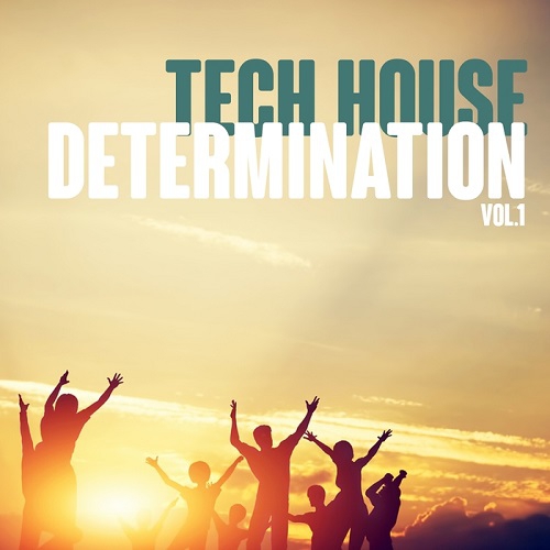 Tech House Determination Vol.1 (2016)