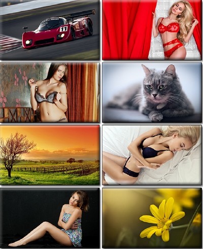 LIFEstyle News MiXture Images. Wallpapers Part (945)