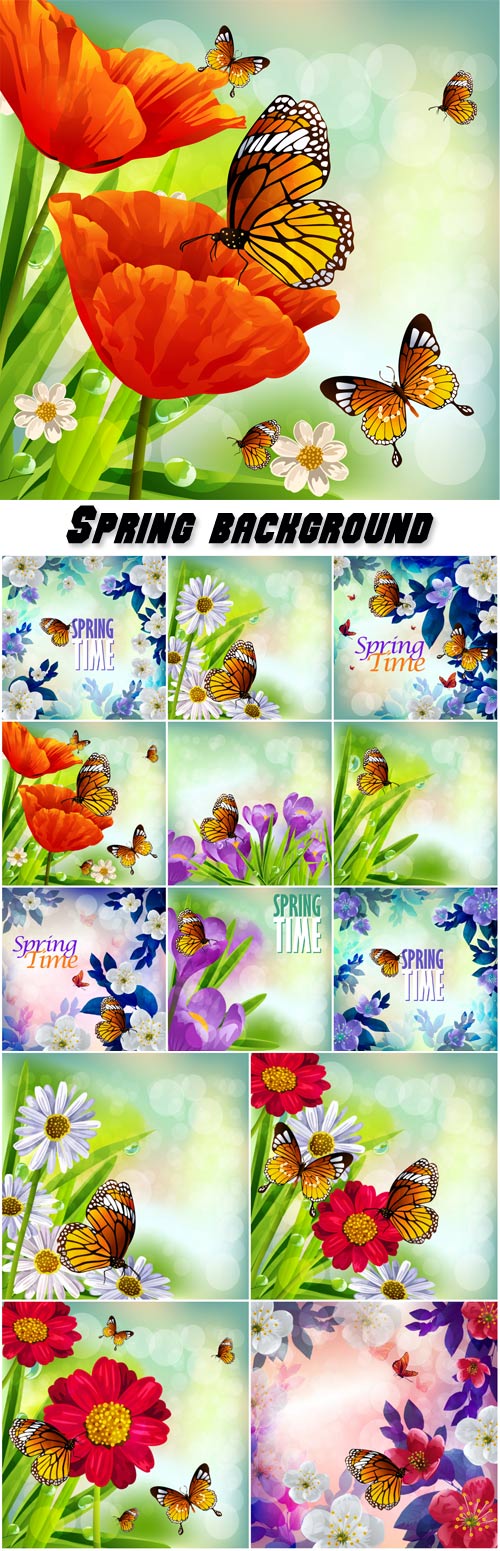 Spring background, beautiful flowers