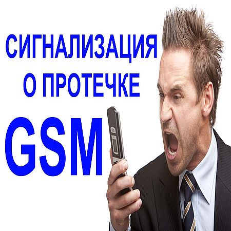 GSM       (2016) WEBRip