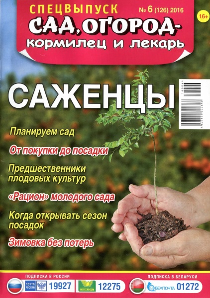 Сад, огород - кормилец и лекарь. Спецвыпуск №6 (март 2016). Саженцы