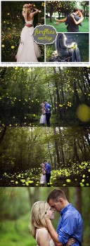 20 Fireflies Photo Overlays