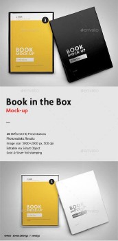 Book in the Box Mock-up