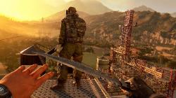 Dying Light: The Following - Enhanced Edition (2016/RUS/ENG/License)