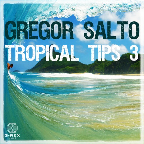 VA - Gregor Salto Tropical Tips 3 (2014)