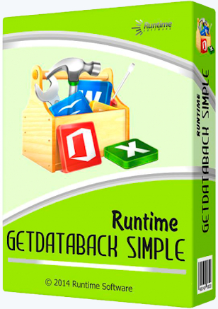 Runtime GetDataBack Simple 3.13 + Portable