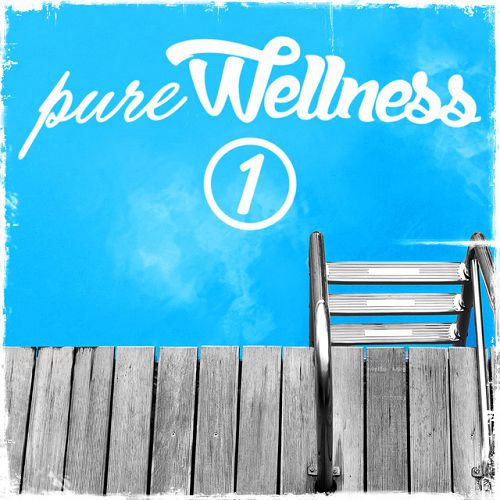 VA - Pure Wellness 1 (2016)